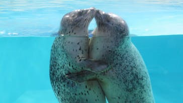 下田海中水族館に投稿された画像（2022/11/10）