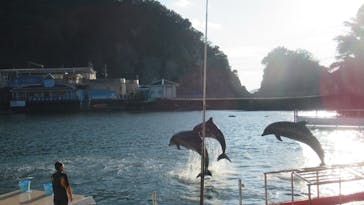 下田海中水族館に投稿された画像（2022/11/10）