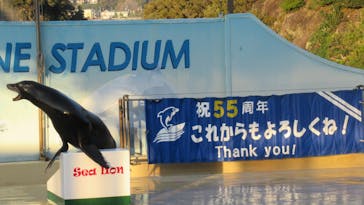 下田海中水族館に投稿された画像（2022/11/10）
