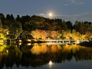 国営昭和記念公園 秋の夜散歩に投稿された画像（2022/11/10）