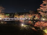 国営昭和記念公園 秋の夜散歩に投稿された画像（2022/11/10）