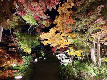 国営昭和記念公園 秋の夜散歩に投稿された画像（2022/11/10）