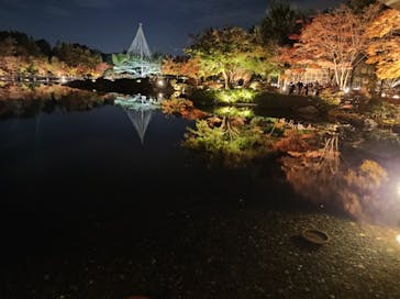 国営昭和記念公園 秋の夜散歩に投稿された画像（2022/11/10）