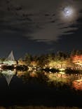 国営昭和記念公園 秋の夜散歩に投稿された画像（2022/11/10）