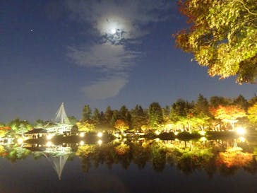 国営昭和記念公園 秋の夜散歩に投稿された画像（2022/11/10）