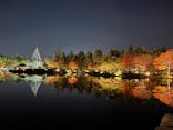 国営昭和記念公園 秋の夜散歩に投稿された画像（2022/11/10）