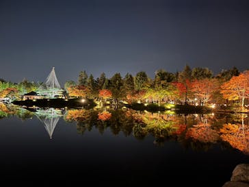 国営昭和記念公園 秋の夜散歩に投稿された画像（2022/11/10）