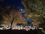 国営昭和記念公園 秋の夜散歩に投稿された画像（2022/11/10）