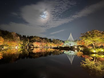 国営昭和記念公園 秋の夜散歩に投稿された画像（2022/11/10）