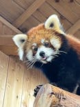 伊豆シャボテン動物公園に投稿された画像（2022/11/11）