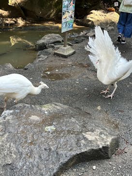 伊豆シャボテン動物公園に投稿された画像（2022/11/10）