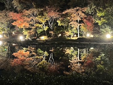 国営昭和記念公園 秋の夜散歩に投稿された画像（2022/11/10）