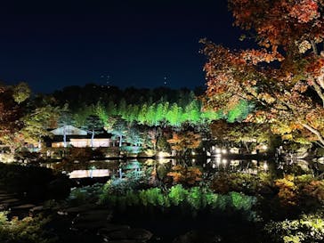 国営昭和記念公園 秋の夜散歩に投稿された画像（2022/11/10）