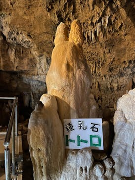 石垣島鍾乳洞に投稿された画像（2022/11/11）