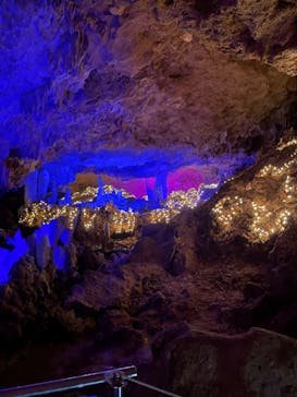 石垣島鍾乳洞に投稿された画像（2022/11/11）