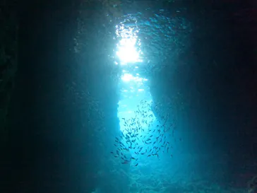 武藤潜水に投稿された画像（2022/11/11）