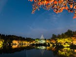 国営昭和記念公園 秋の夜散歩に投稿された画像（2022/11/11）