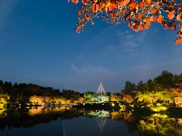 国営昭和記念公園 秋の夜散歩に投稿された画像（2022/11/11）