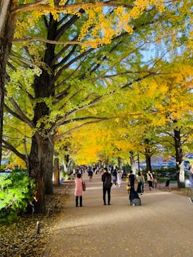 国営昭和記念公園 秋の夜散歩に投稿された画像（2022/11/11）