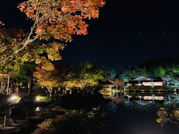 国営昭和記念公園 秋の夜散歩に投稿された画像（2022/11/11）