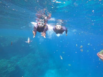 沖縄マリンサービス碧に投稿された画像（2022/11/11）