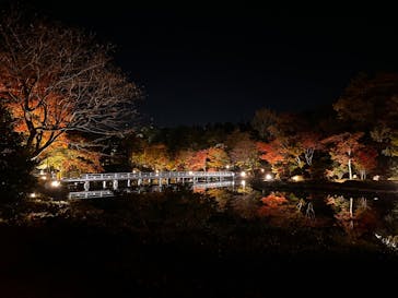 国営昭和記念公園 秋の夜散歩に投稿された画像（2022/11/11）