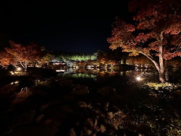 国営昭和記念公園 秋の夜散歩に投稿された画像（2022/11/11）