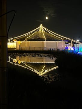 東京メガイルミに投稿された画像（2022/11/11）