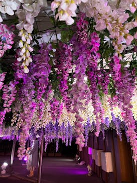 東京メガイルミに投稿された画像（2022/11/11）