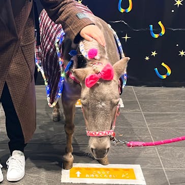 東京メガイルミに投稿された画像（2022/11/11）