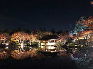 国営昭和記念公園 秋の夜散歩に投稿された画像（2022/11/11）