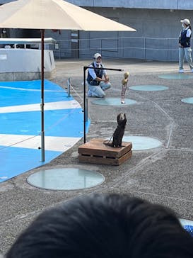 大分マリーンパレス水族館 「うみたまご」に投稿された画像（2022/11/11）