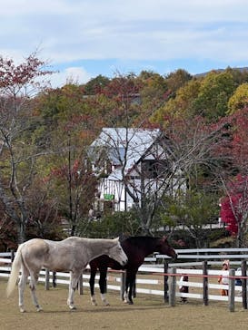 牧歌の里に投稿された画像（2022/11/11）