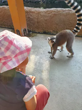 神戸どうぶつ王国に投稿された画像（2022/11/11）