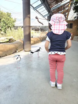 神戸どうぶつ王国に投稿された画像（2022/11/11）