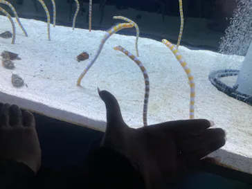 すみだ水族館に投稿された画像（2022/11/11）