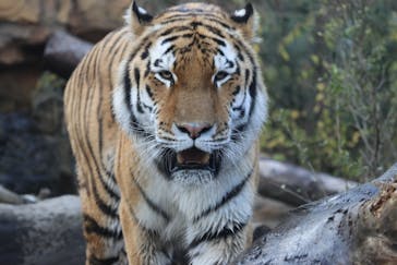 那須どうぶつ王国に投稿された画像（2022/11/11）