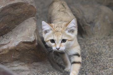 那須どうぶつ王国に投稿された画像（2022/11/11）