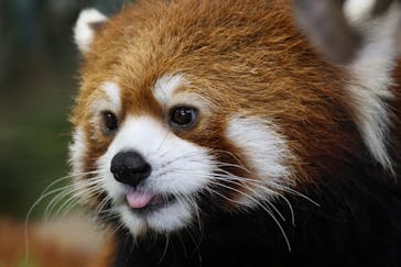 那須どうぶつ王国に投稿された画像（2022/11/11）