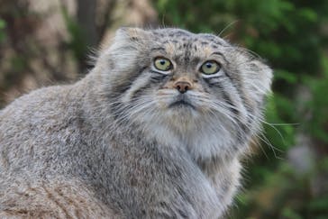 那須どうぶつ王国に投稿された画像（2022/11/11）