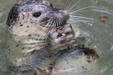 那須どうぶつ王国に投稿された画像（2022/11/11）