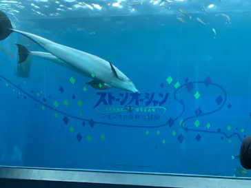 横浜・八景島シーパラダイスに投稿された画像（2022/11/11）