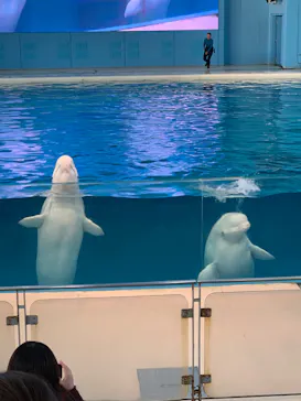 横浜・八景島シーパラダイスに投稿された画像（2022/11/11）