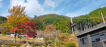 びわ湖バレイに投稿された画像（2022/11/11）