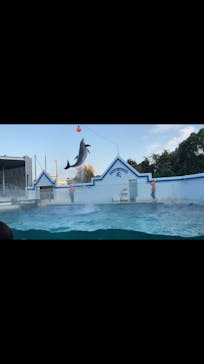 しながわ水族館に投稿された画像（2022/11/11）