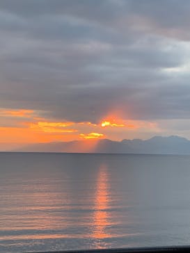 新江ノ島水族館に投稿された画像（2022/11/11）