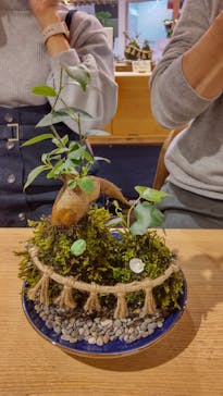 伊勢夫婦岩めおと横丁　めおと岩アクティビティに投稿された画像（2022/11/11）