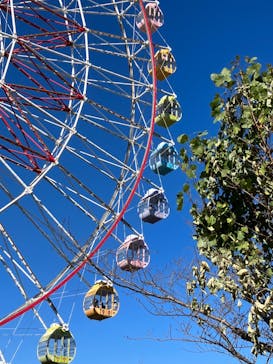 浜名湖パルパルに投稿された画像（2022/11/11）