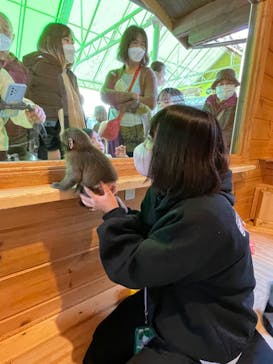 おさるランド＆アニタウン　日光さる軍団劇場に投稿された画像（2022/11/11）