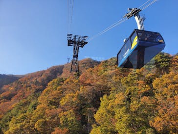 びわ湖バレイに投稿された画像（2022/11/11）